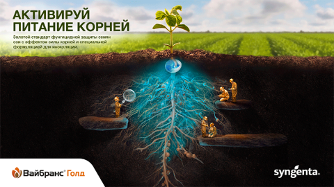 Активируй питание корней Активируй питание корней