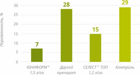 Сравнение пораженности корней картофеля Сравнение пораженности корней картофеля