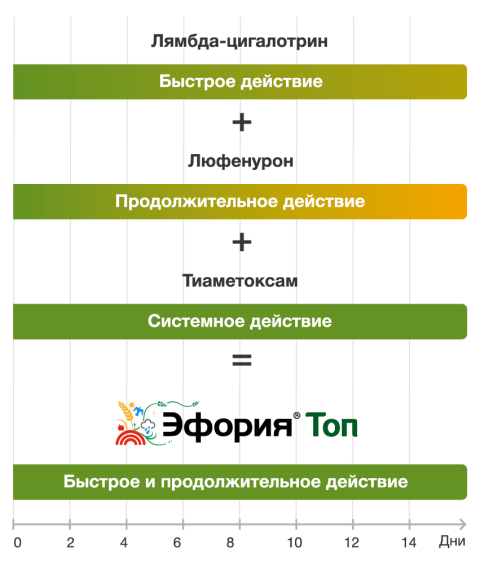 Механизмом действия ЭФОРИЯ® Топ Механизмом действия ЭФОРИЯ® Топ