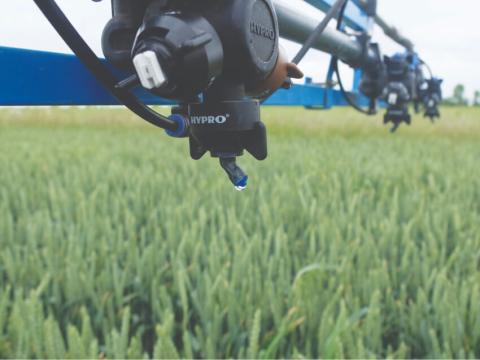 Зерновые фото Зерновые фото