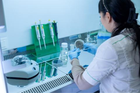 Лаботарии «Сингенты». Фото 1 Лаботарии «Сингенты». Фото 1