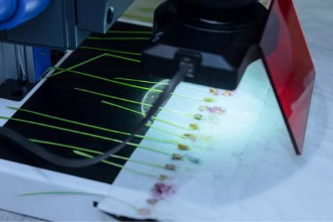 Лаботарии «Сингенты». Фото 2 Лаботарии «Сингенты». Фото 2