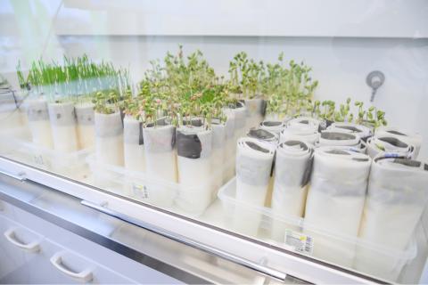 Лаботарии «Сингенты». Фото 3 Лаботарии «Сингенты». Фото 3