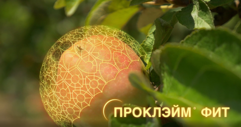 Защита сада от вредителей в летний период: проблемы высоких температур и инновационные решения Защита сада от вредителей в летний период: проблемы высоких температур и инновационные решения