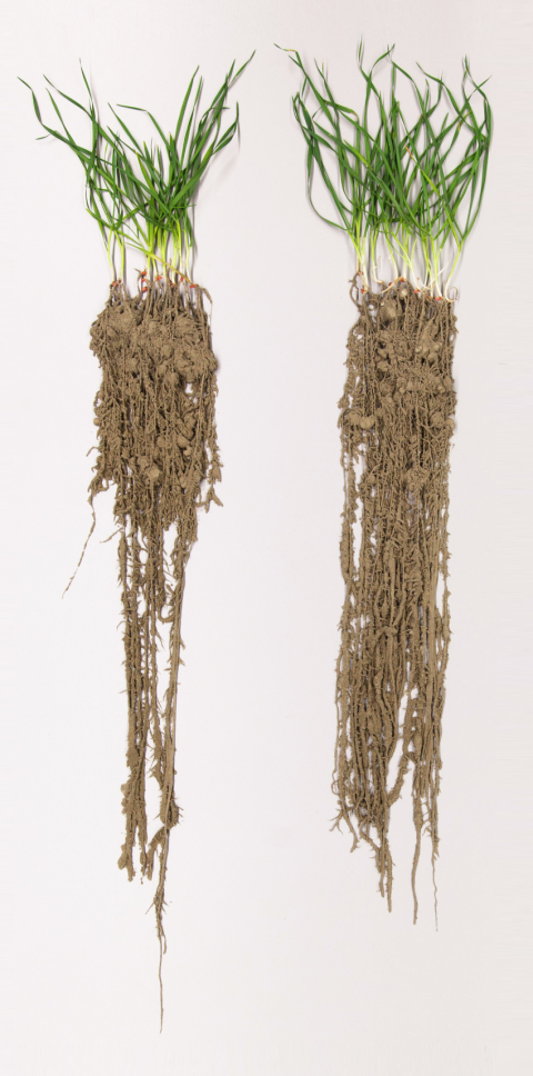 Фото 1 Фото 1