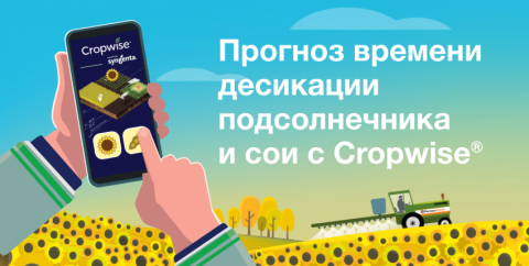 Прогноз времени десикации подсолнечника и сои с Cropwise® Прогноз времени десикации подсолнечника и сои с Cropwise®