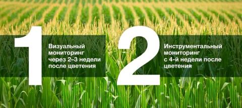 Своевременность Своевременность