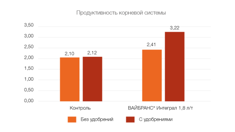 Продуктивность корневой системы Продуктивность корневой системы