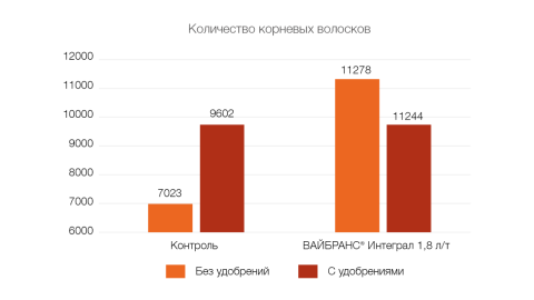 Количество корневых волосков Количество корневых волосков