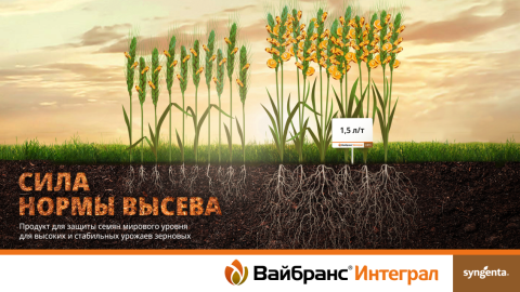 Сила нормы высева Сила нормы высева