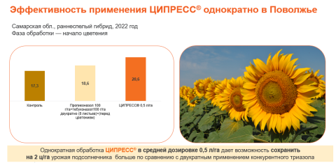 Эффективность применения ЦИПРЕСС однократно в Поволжье Эффективность применения ЦИПРЕСС однократно в Поволжье