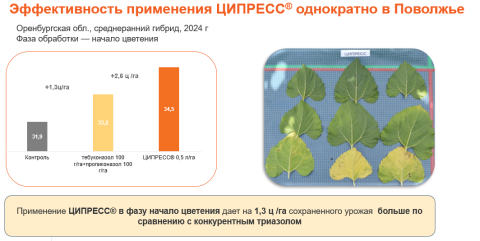 Эффективность применения ЦИПРЕСС однократно в Поволжье Эффективность применения ЦИПРЕСС однократно в Поволжье