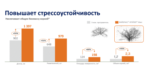Повышают стрессоустойчивость Повышают стрессоустойчивость