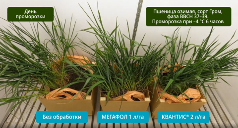 Сравнение биопродуктов и без контроля Сравнение биопродуктов и без контроля