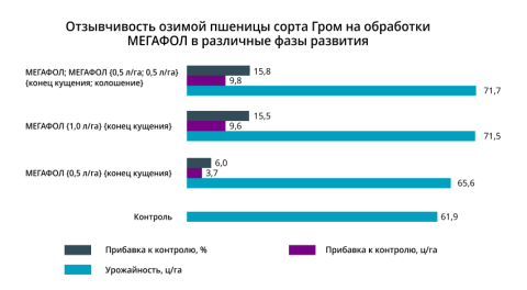 Озывчивость озимой пшеницы на обрботки МЕГАФОЛ Озывчивость озимой пшеницы на обрботки МЕГАФОЛ