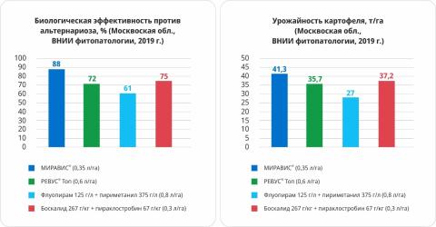 МИРАВИС® — новый стандарт в защите картофеля от альтернариоза