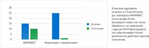МИРАВИС® — новый стандарт в защите картофеля от альтернариоза