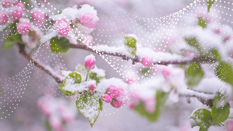 Какие риски? Какие риски?