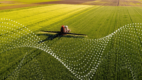 Что делать? Что делать?