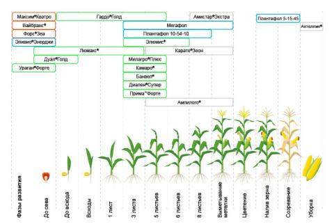 Схема защиты кукурузы Схема защиты кукурузы