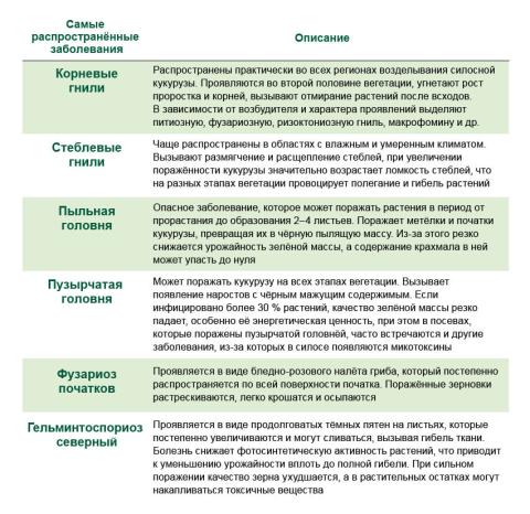 Самые распространенные заболевания и их описание Самые распространенные заболевания и их описание