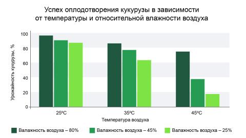 Успех оплодотворения кукурузы в зависимости от температуры и относительной влажности воздуха Успех оплодотворения кукурузы в зависимости от температуры и относительной влажности воздуха