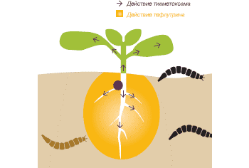 Действие туфлутрина действие ФОРС ЗЕА