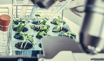 СОЛГАРД лабораторная диагностика CОЛГАРД