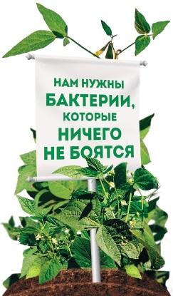 Нам нужны бактерии, которые ничего не боятся Нам нужны бактерии, которые ничего не боятся