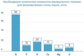 Азот для сои: минеральные подкормки Азот для сои: минеральные подкормки