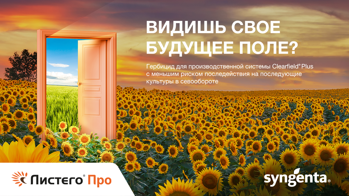 Видишь свое будущее поле?