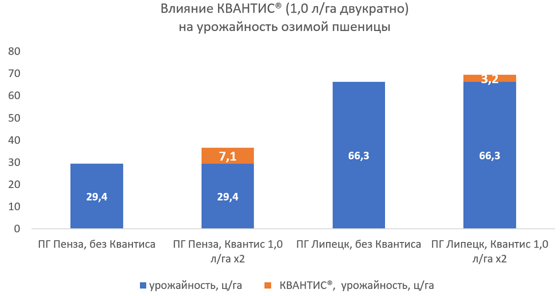 Влияние КВАНТИС® (1,0 л/га двукратно) на урожайность озимой пшеницы