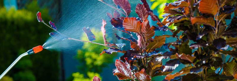 Большинство системных инсектицидов вносятся методом опрыскивания листвы, остальные — в почву