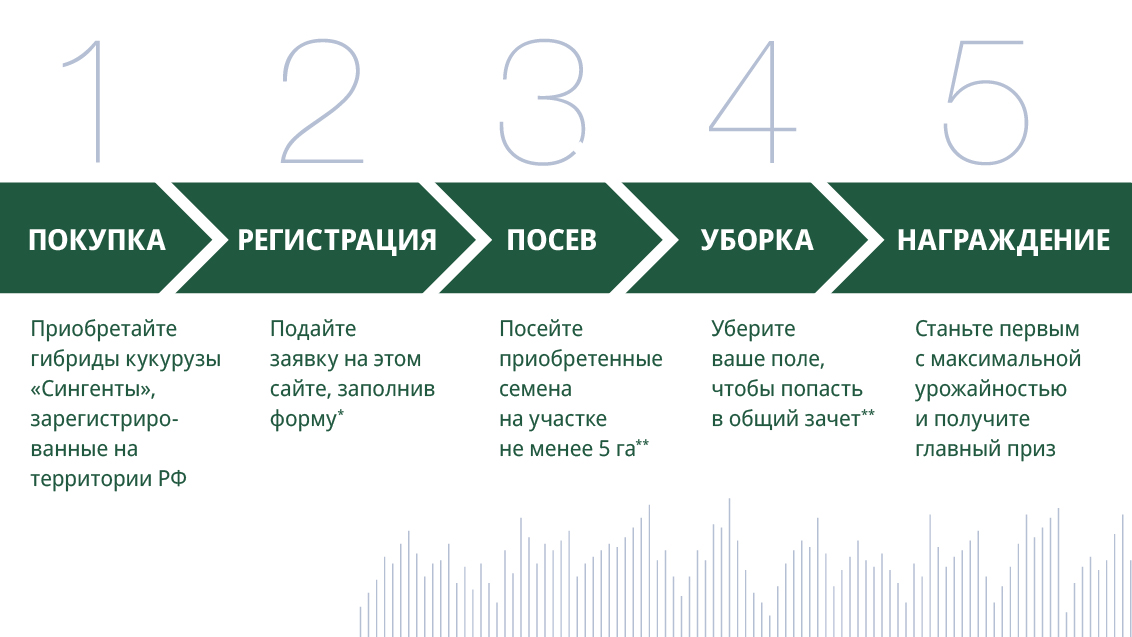 Этапы участия