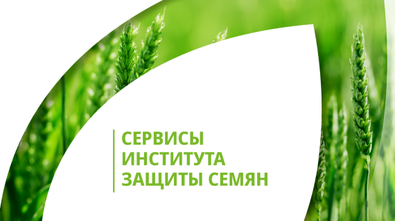 Сервисы института защиты семян