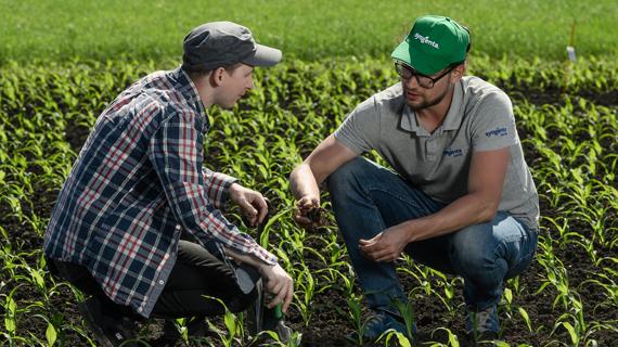 Дистрибьюторы семян полевых культур