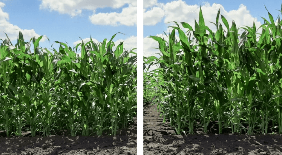 Сравнение разных обработок. Фото 3