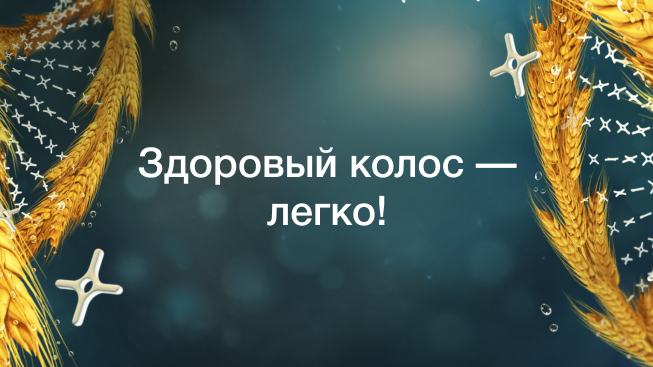 МИРАВИС® Эйс