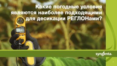 Какие погодные условия являются наиболее подходящими для десикации РЕГЛОНами