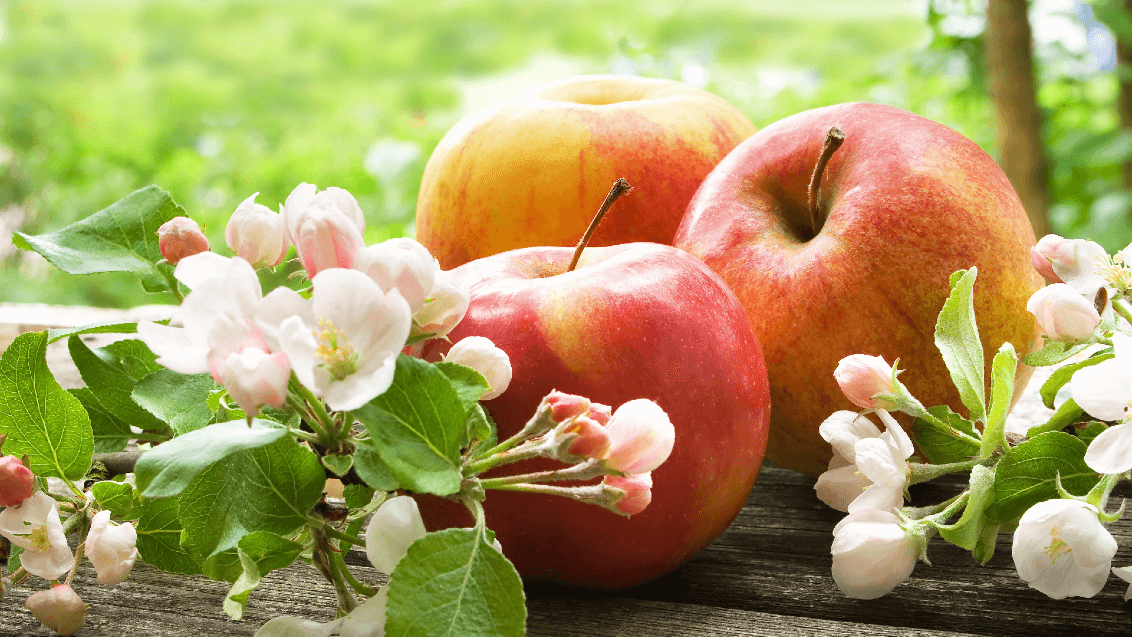 ХОРУС® — ХОРОШ в ХОЛОДА от болезней