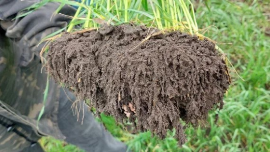 Средняя урожайность по предприятию: 6,5–7 т/га Песчанокопский район, Ростовская область. Фото 1