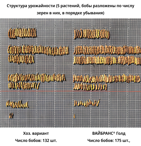 Сравнение вайбранс и хоз. варианта. Фото 4
