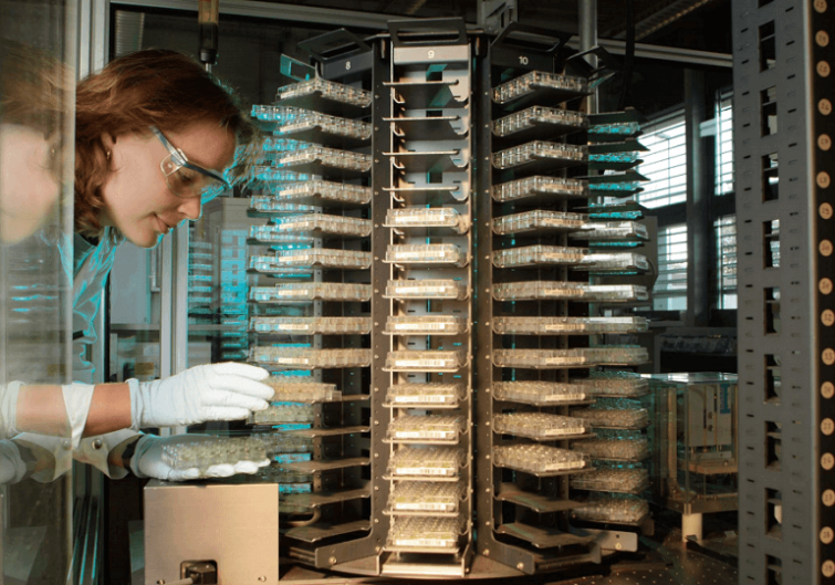 Наши ценности