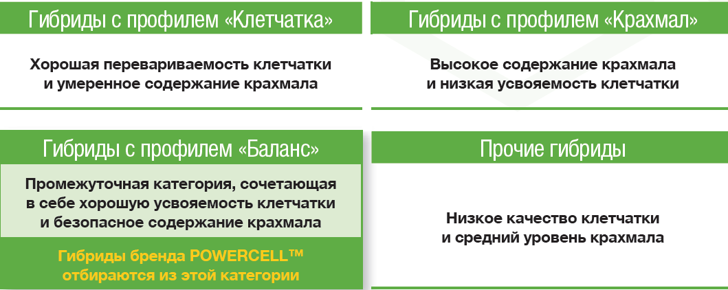 Powercell™ – гибриды кукурузы со сбалансированным профилем