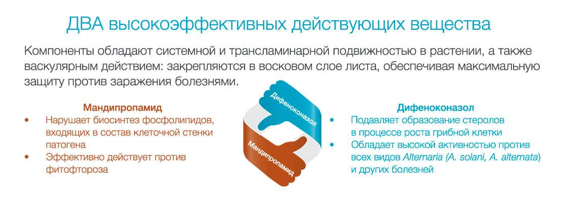 РЕВУС ТОП