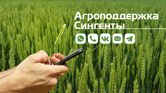 Агроподдержка Сингенты