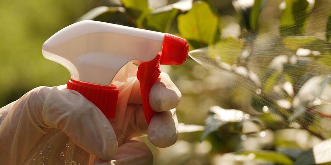 Инсектициды — препараты для контроля насекомых