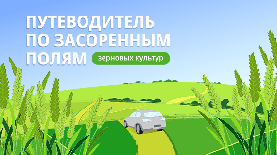 Путеводитель по засоренным полям