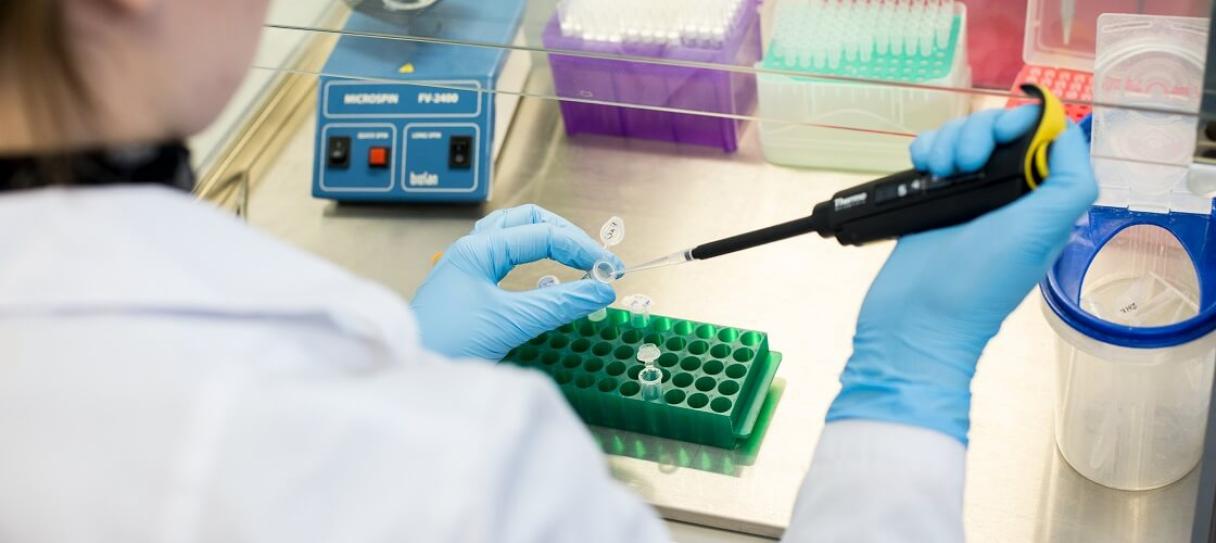 Влияние на сохранность семян и биологию растений слайд 1