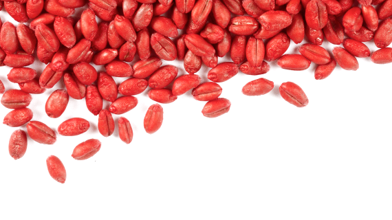 ВАЙБРАНС® на зерновых